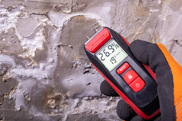 Best Black Mold Removal  in Lowell, NC