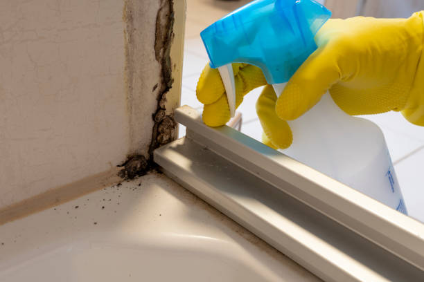 Best Office Mold Removal Services  in Lowell, NC