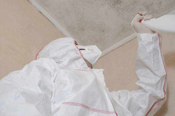 Lowell, NC Mold Removal Company